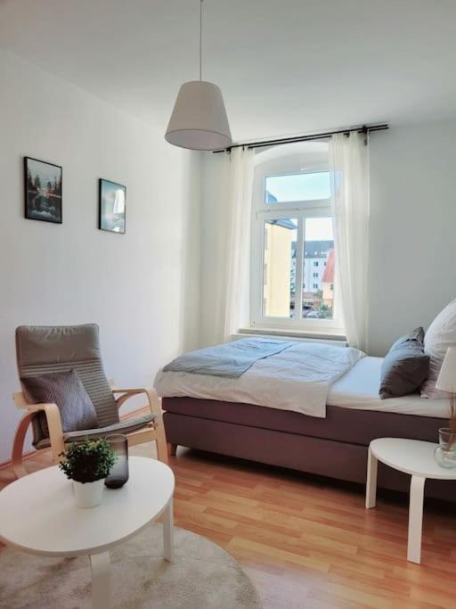 דרזדן Gemuetliches Helles Appartement מראה חיצוני תמונה