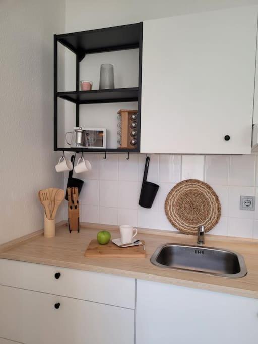 דרזדן Gemuetliches Helles Appartement מראה חיצוני תמונה