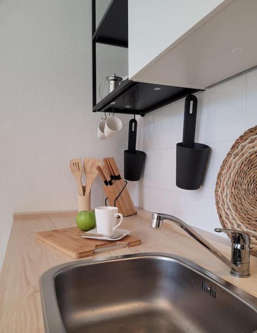 דרזדן Gemuetliches Helles Appartement מראה חיצוני תמונה