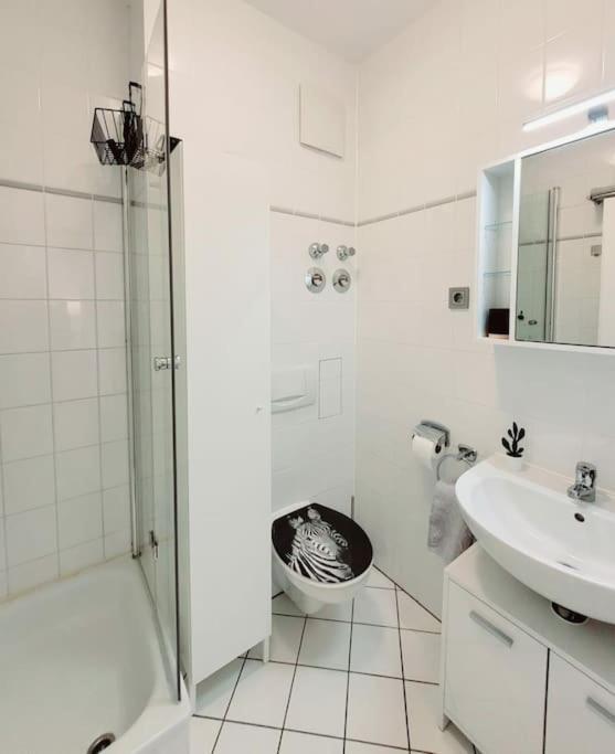 דרזדן Gemuetliches Helles Appartement מראה חיצוני תמונה