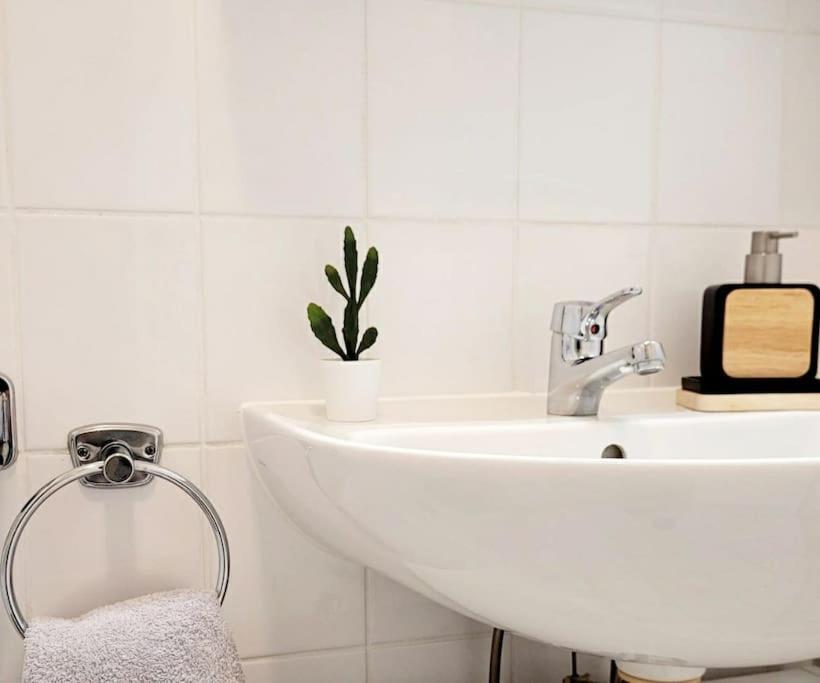 דרזדן Gemuetliches Helles Appartement מראה חיצוני תמונה
